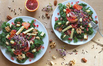 Federkohlsalat