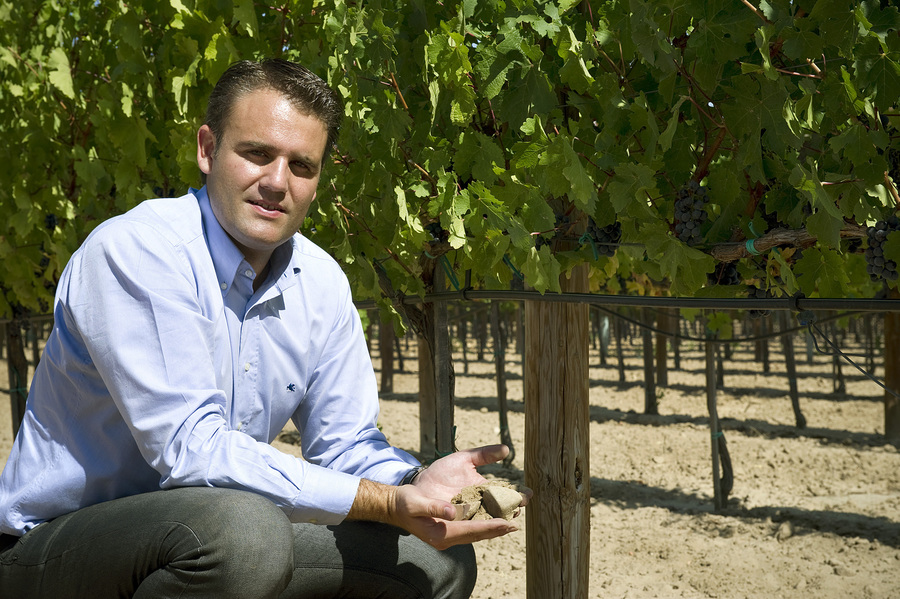 Bodegas Izadi - Rioja