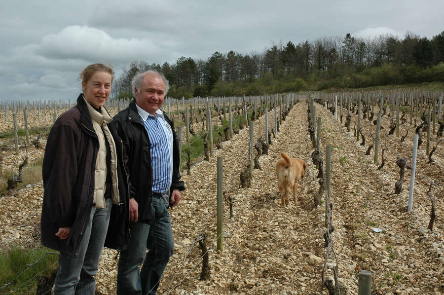Chablis - Bourgogne