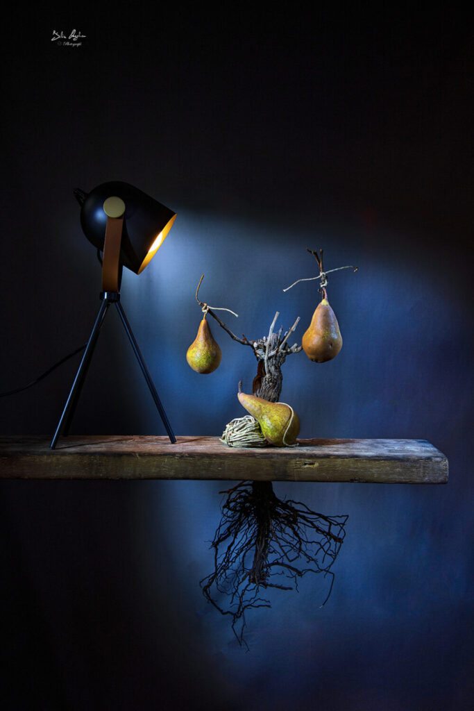 Luglio 2023 | Felice Angelino 4 DSC 0043