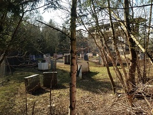 silvester location mieten Lichtenau