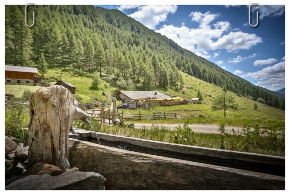 Restaurant Alm Wirtschaft Astnerbergalm für Top Events bis zu 300 Gäste in Bozen