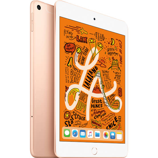 iPad mini Cellular 256GB - Gold - Apple | Glocalzone - Glocalzone