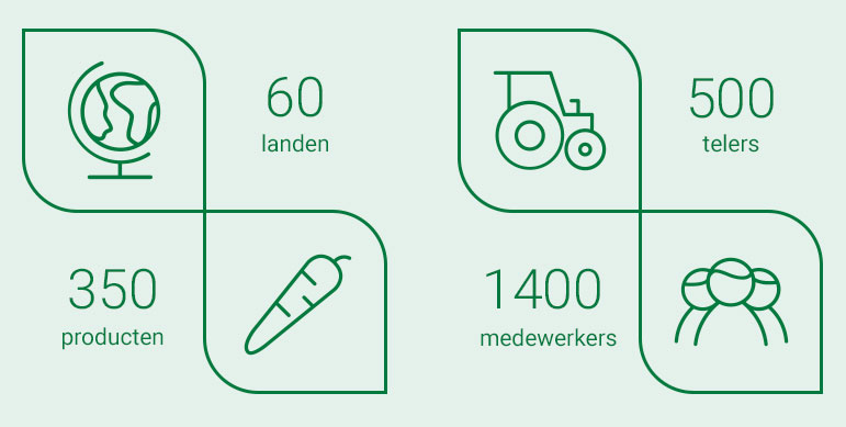 organisatie cijfers