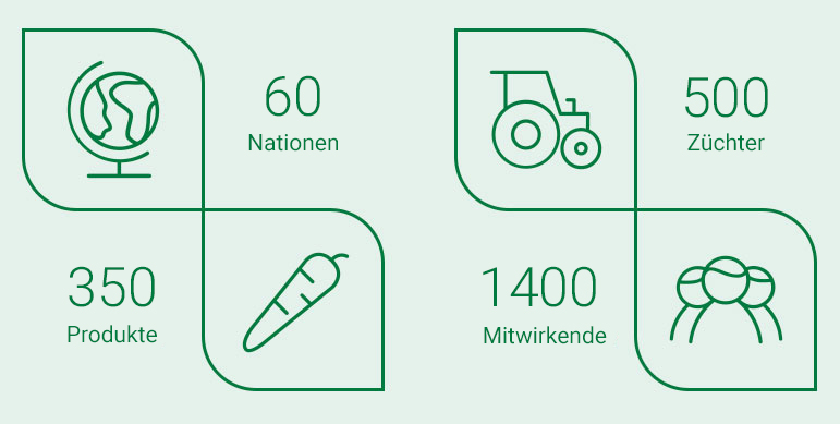 organisatie-cijfers