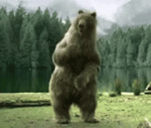 Un moment spécifique de 5 h sur le dancefloor.