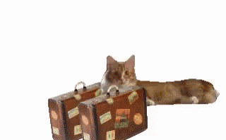 Le départ en after avec la valise de matos
