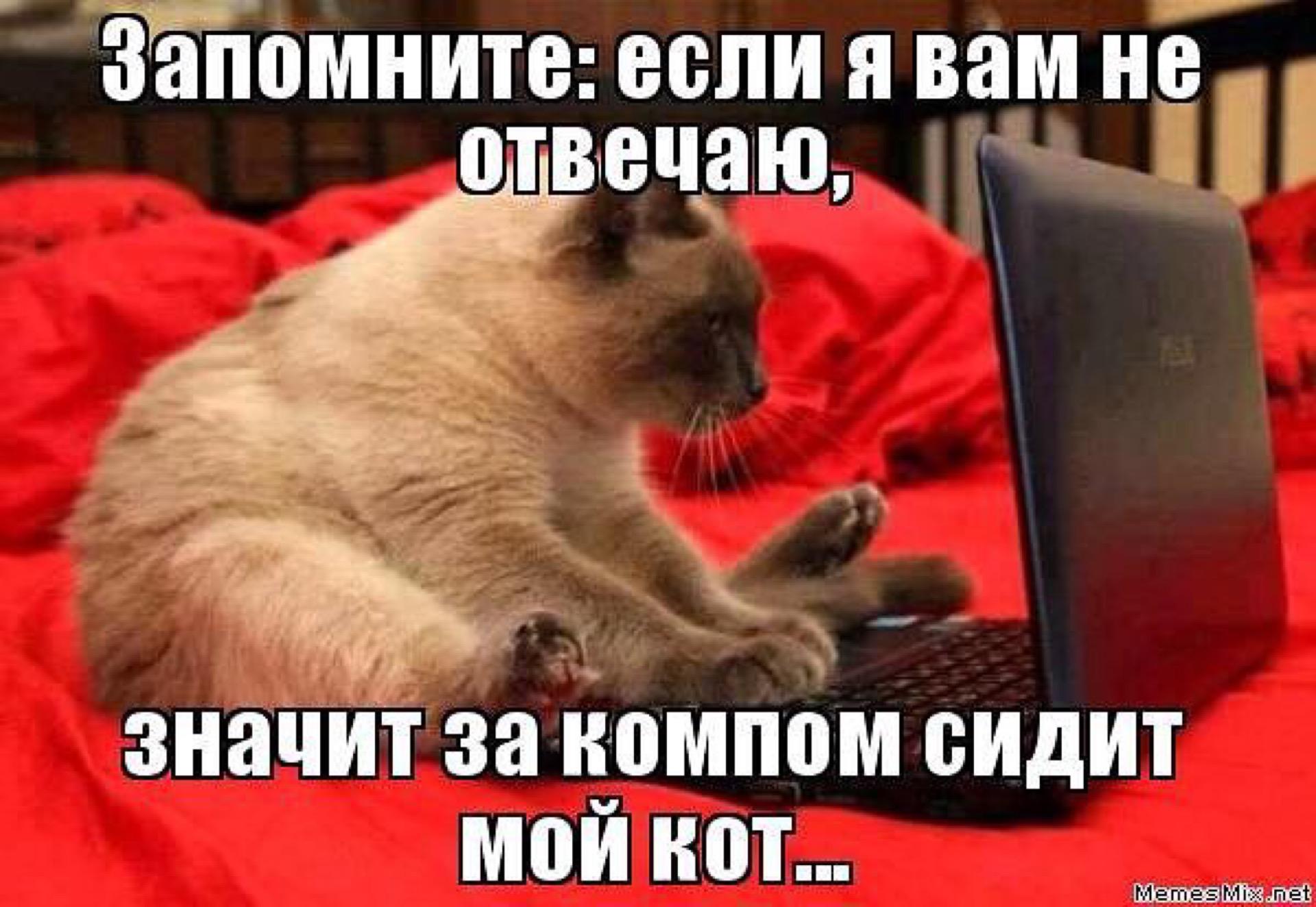 Статус если меня нет в интернете Статус если меня нет в интернете