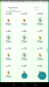 Fullt av Pidgeyer.