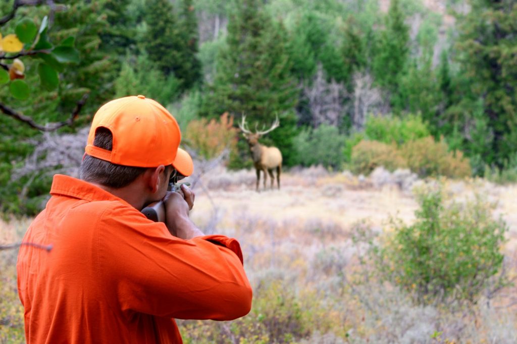 A big game Elk hunter aiming his rifle at a big bull Elk in an open medow. Focus is on the hunter.