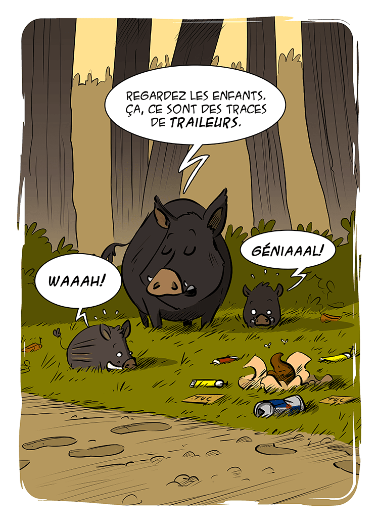 Impact écologique d'un trail