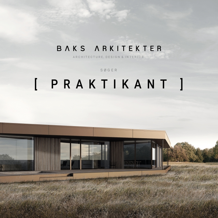 PRAKTIKOPSLAG-forår-2019-instagram