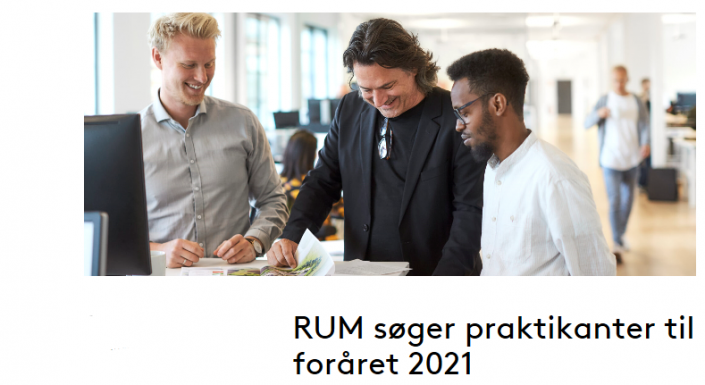 rimpraktikanter