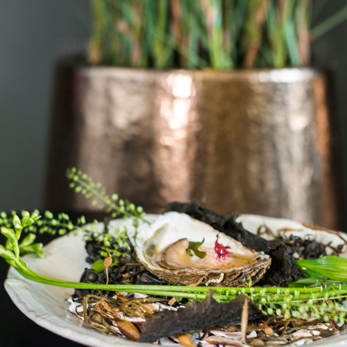 vRÅ - Swedish Ingredients, Japanese Flavors