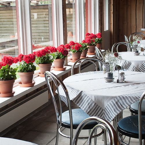 Restaurang Lustgården & Gårdsbutik