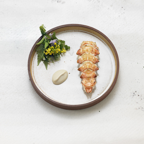 Gastrologik