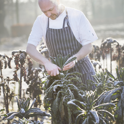Klein's Mat på Katrinetorp
