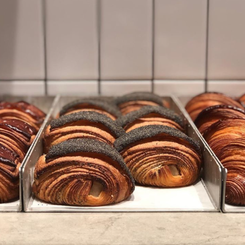 Brøderi Borgskog