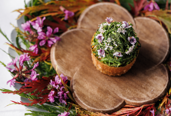 Mielcke & Hurtigkarl