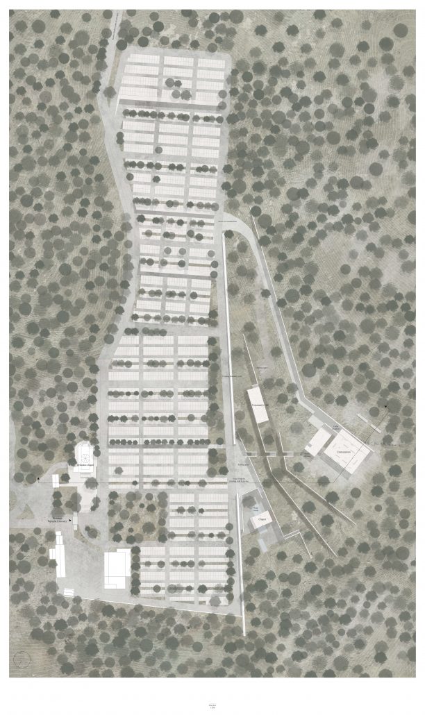 Site-plan_1-500