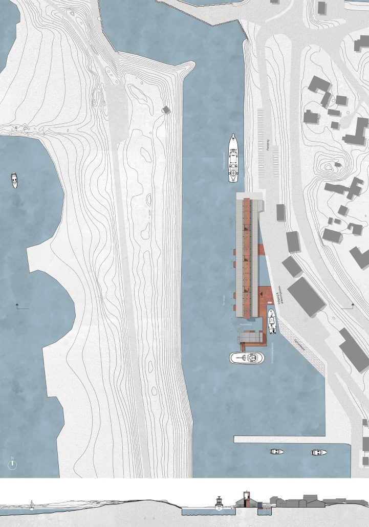 Line-Tanderup-Nielsen_situationsplan-og-landskabssnit