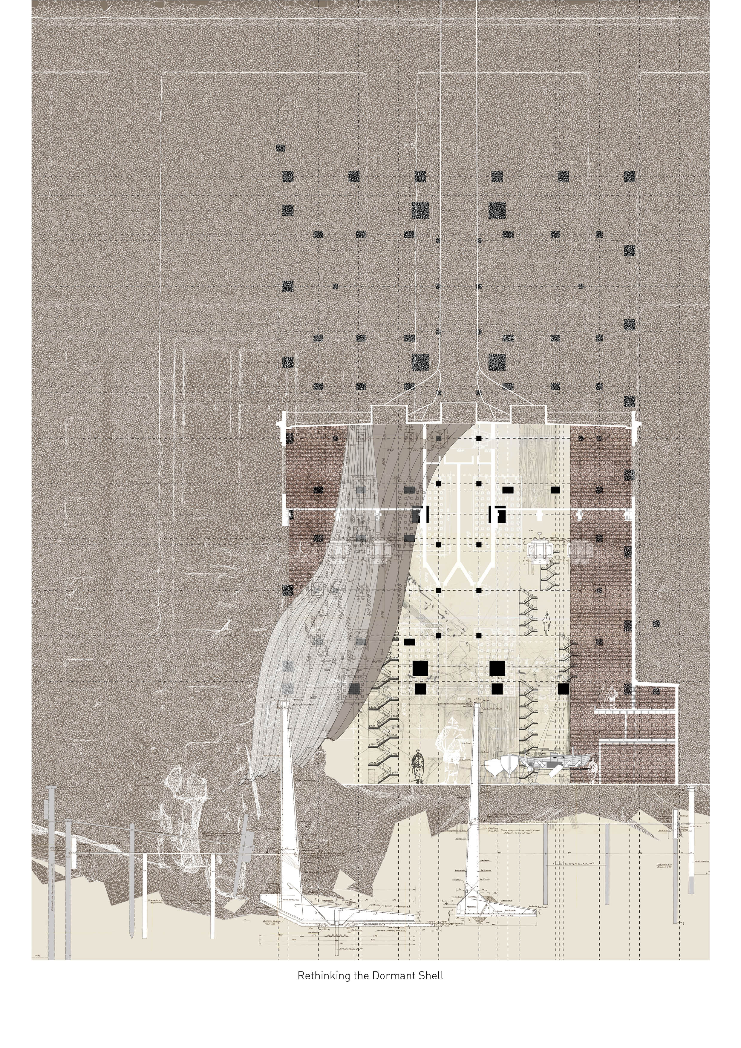 Rethinking-the-Dormant-Shell1