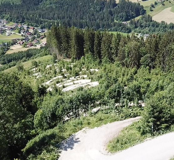 Pierergut Trail