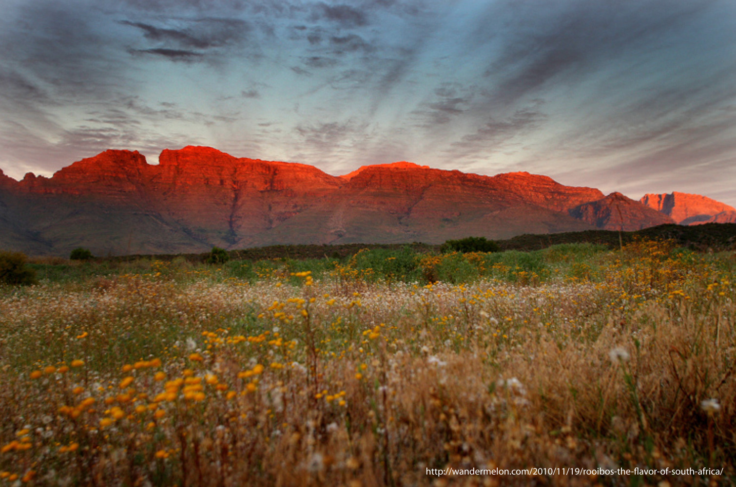 Cederberg, Mountain of Art Cederberg, Mountain of Art
