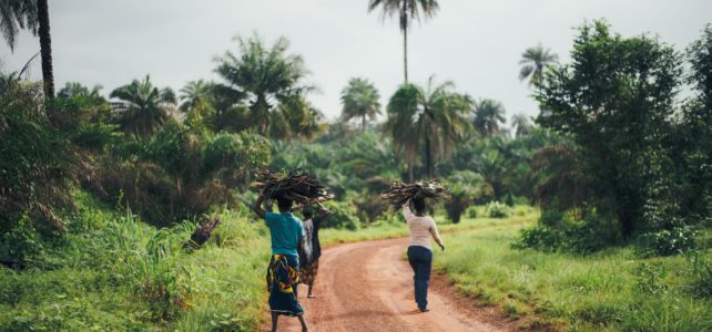 The ACE 1 Energy System in Gambia The ACE 1 Energy System in Gambia