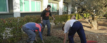 PFI-JARDINERIA PFI-JARDINERIA