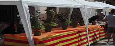 Diada de Sant Jordi masquefa