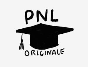 Immagine post PNL universita