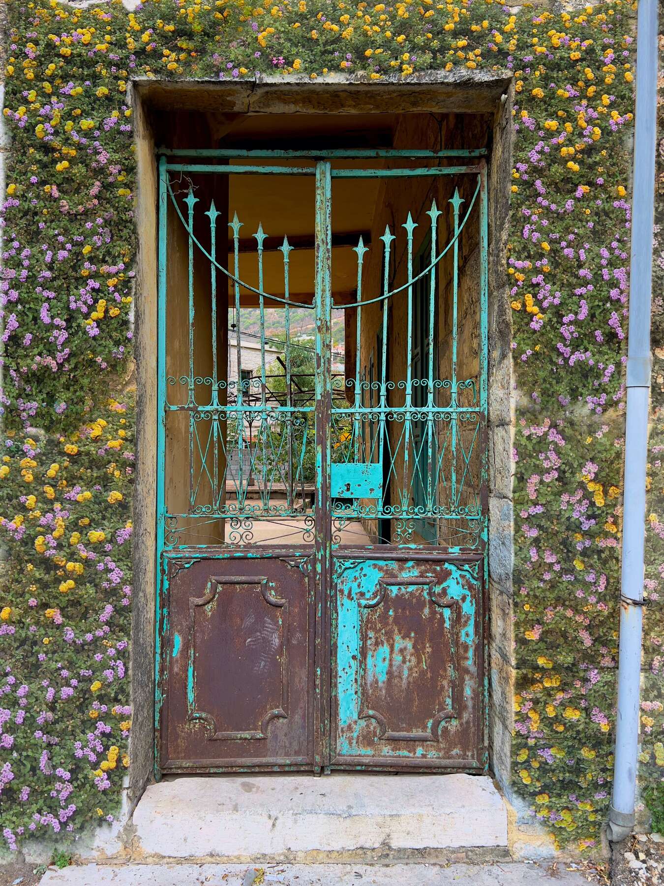 gallery artwork titled: Rust & Flowers image alt