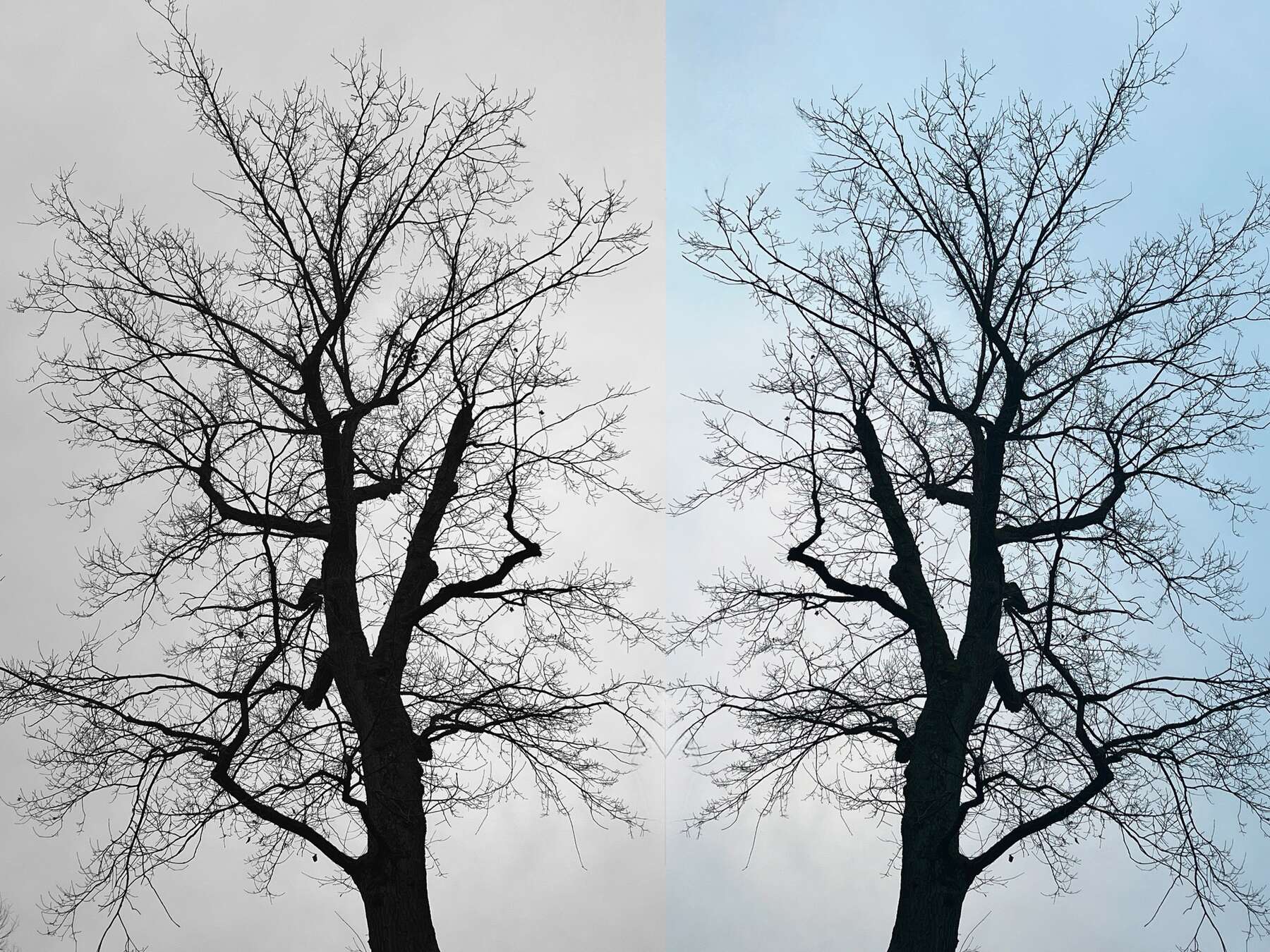 gallery artwork titled: Feeling & Healing Dyptich image alt