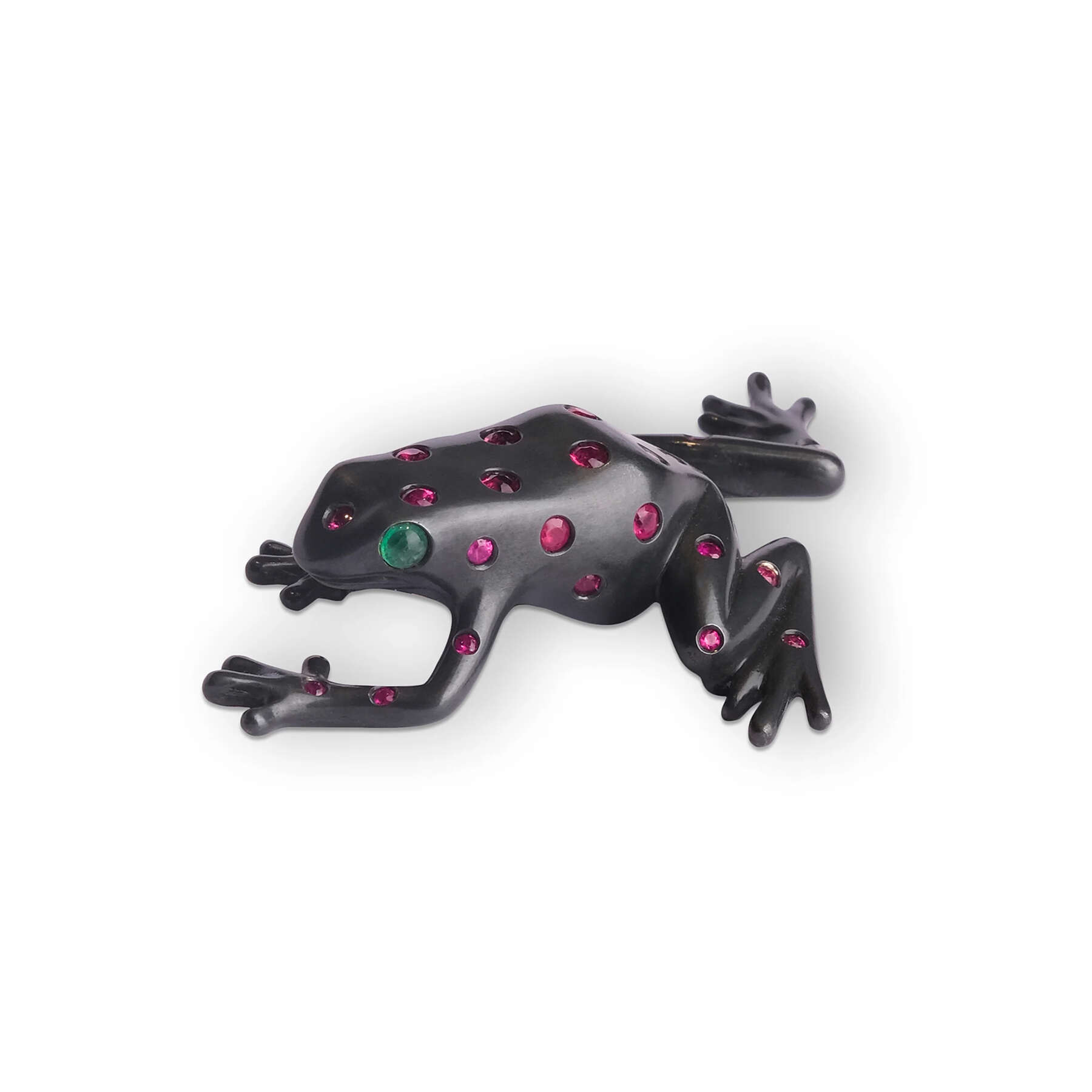 gallery artwork titled: FROG  image alt