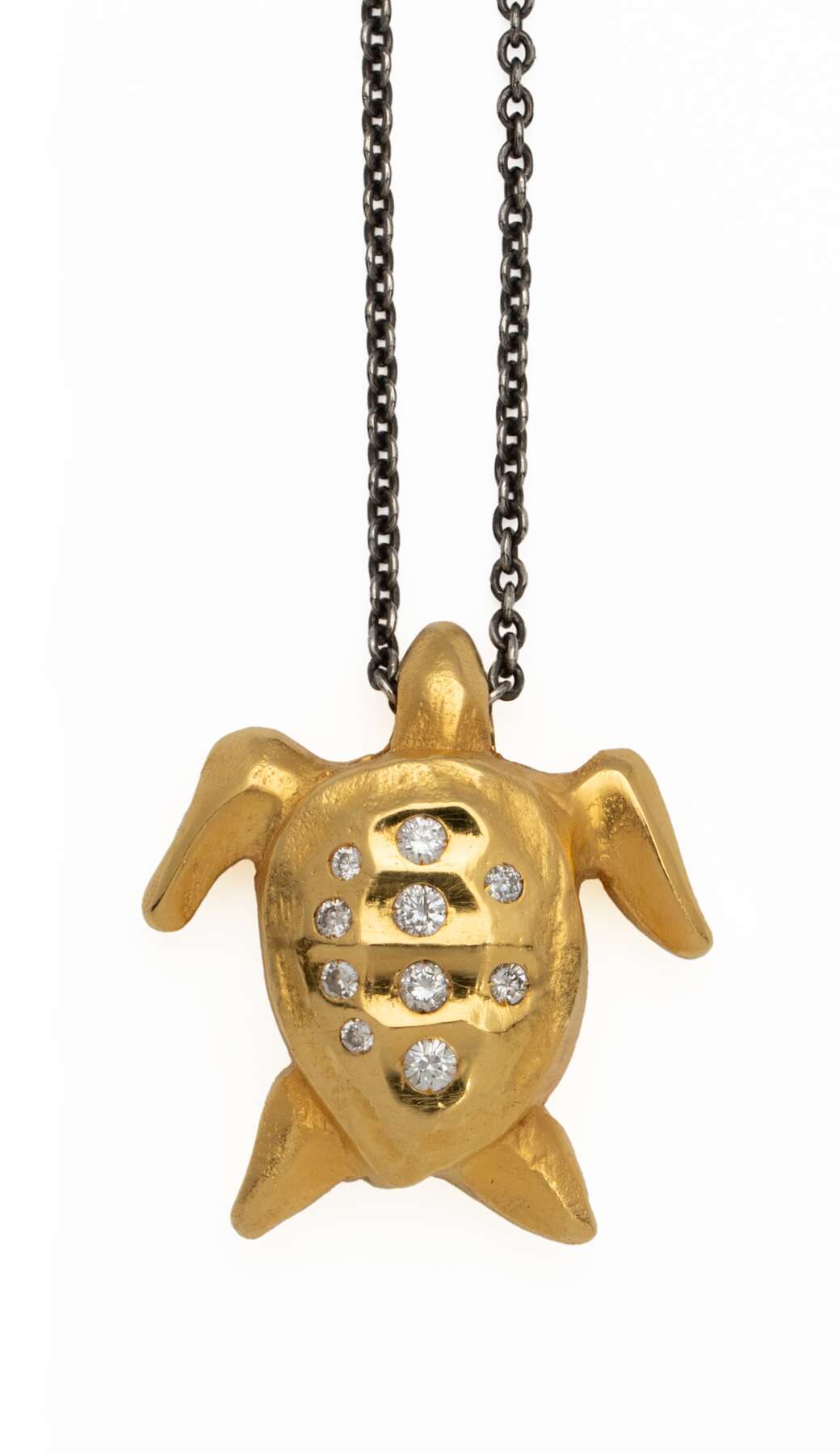 gallery artwork titled: Turtle image alt