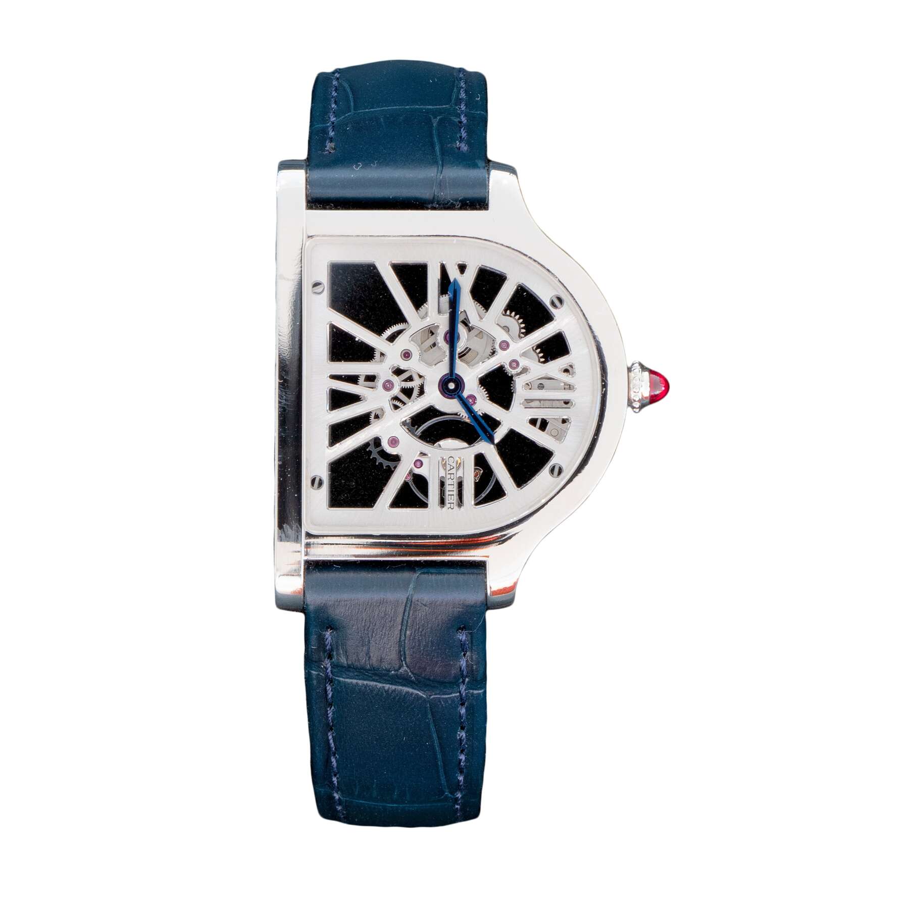 gallery artwork titled: Cloche Skeleton image alt