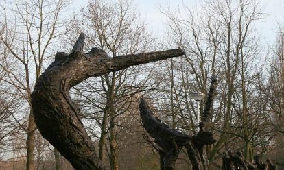 slavernijmonument in oosterpark in amsterdam Vrouwen in de Nederlandse slavernij