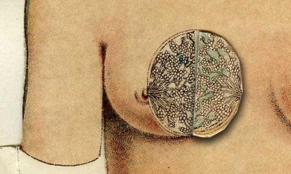 The female body graphically depicted The female body graphically depicted