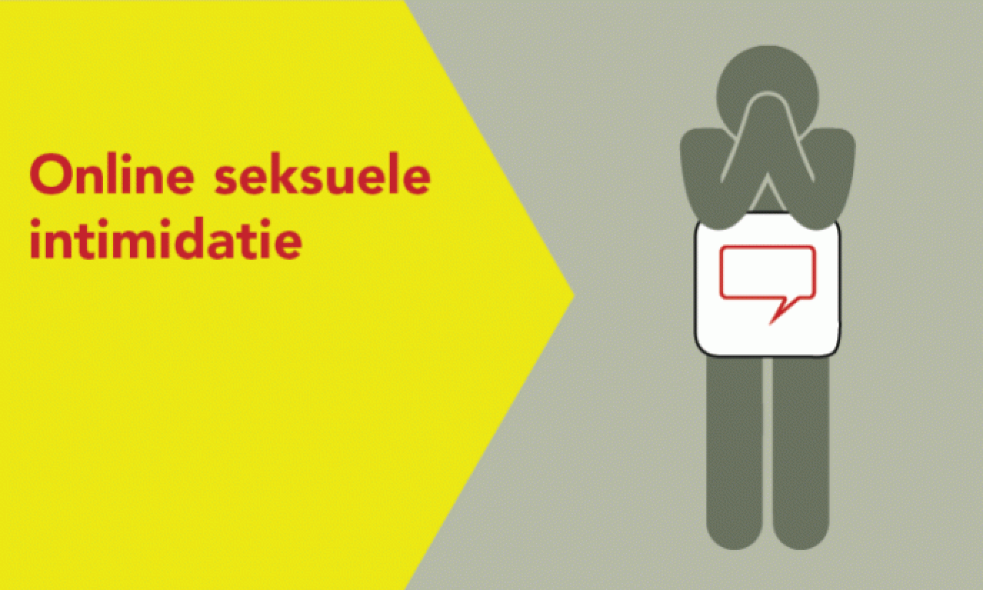 Factsheet Online seksuele intimidatie