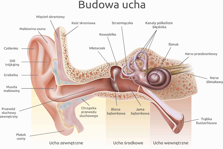 Umawiać się z kimś z ubytkiem słuchu
