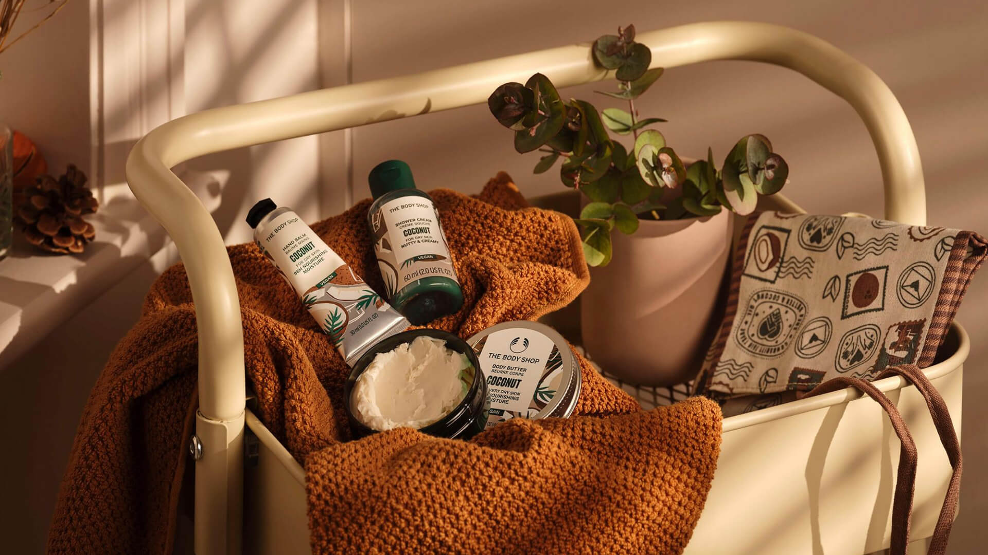 Kokos Tərkibli Məhsulların Baxım Rejiminizdə Rolu