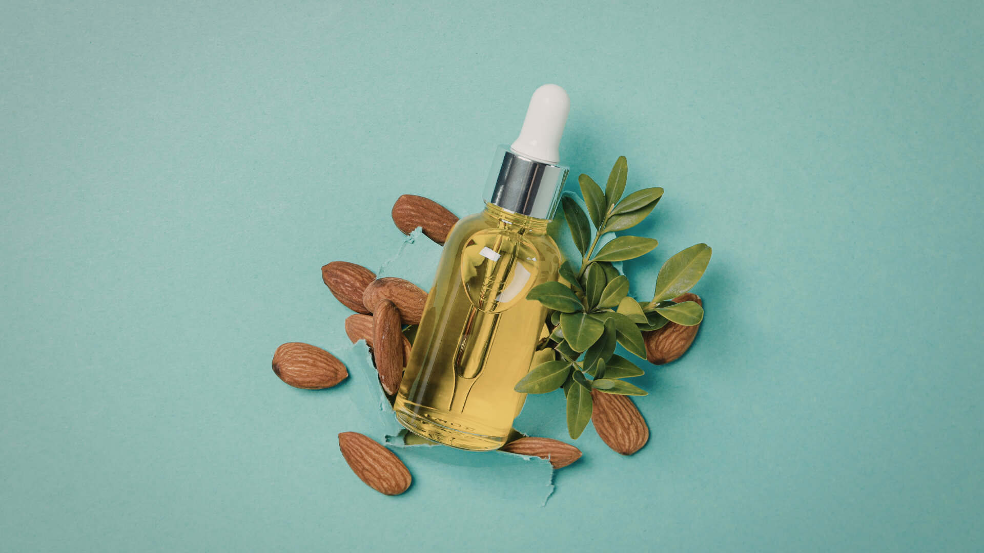 Dəri Baxımında Arqan Tərkibli Məhsulların 6 Əsas Rolu