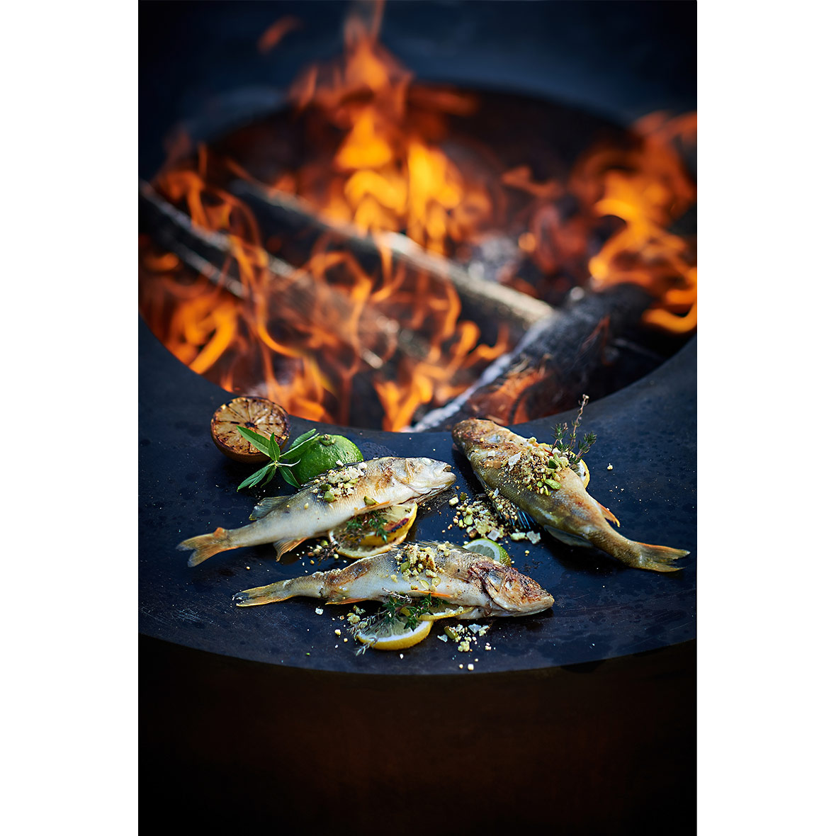 Rezeptbuch zur Feuerstelle - Feuerring Tulip | Bestswiss.ch