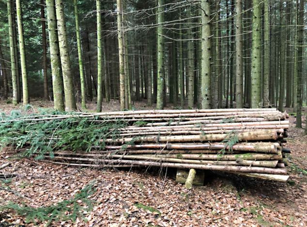 Schweizer Holz in Bremgarten BE Schweizer Holz in Bremgarten BE