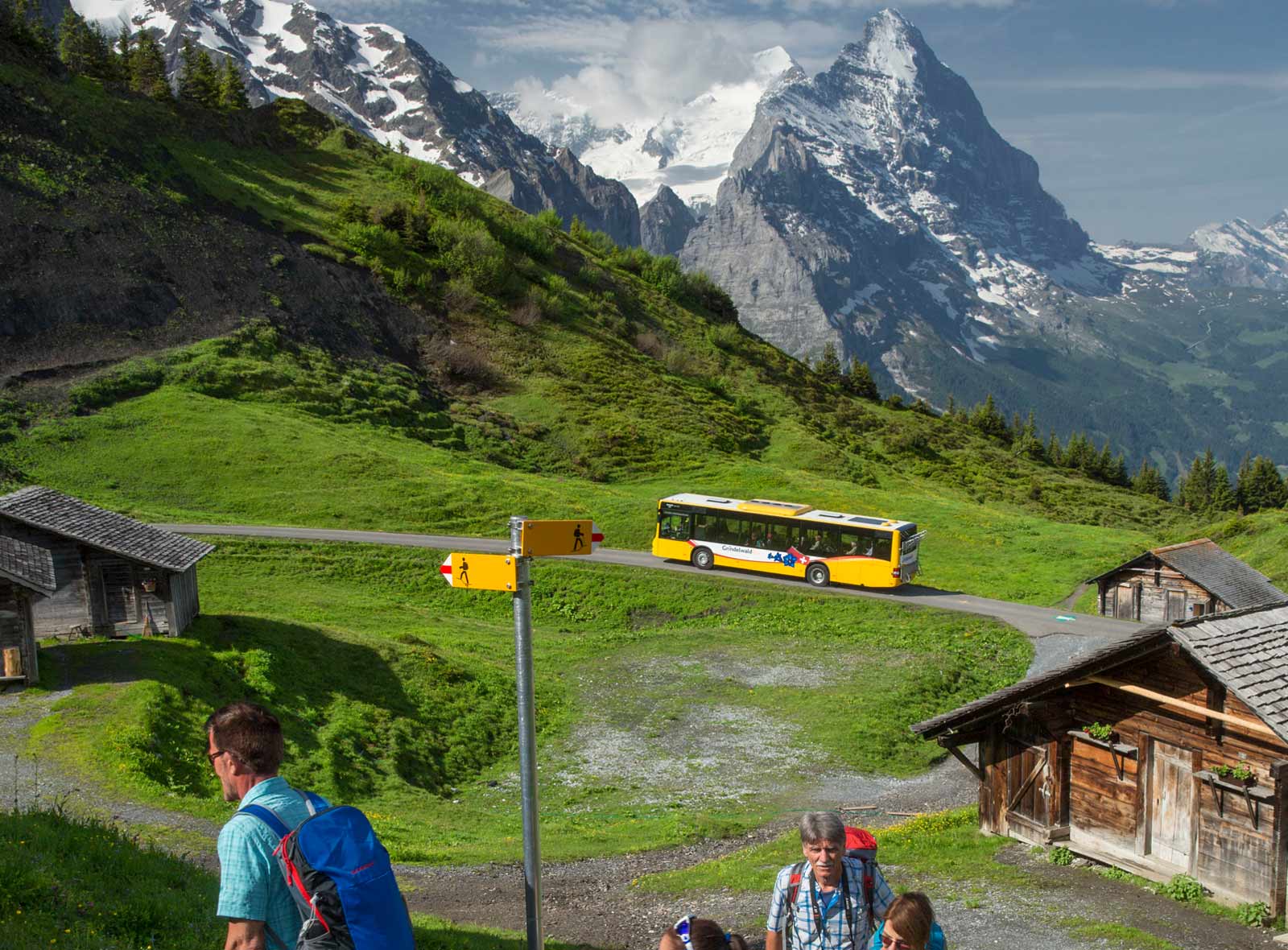 Wandern an der grossen Scheidegg Wandern an der grossen Scheidegg