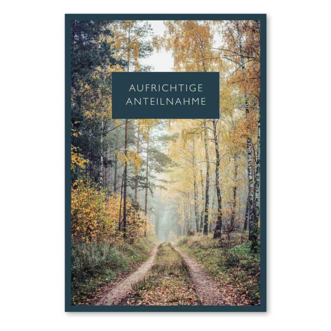 Trauerkarte: Waldweg | Bestswiss