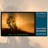 Curs foto acreditat Black Friday 2019