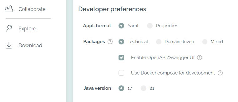 Choice of other preferences for the generated code Choice of other preferences for the generated code