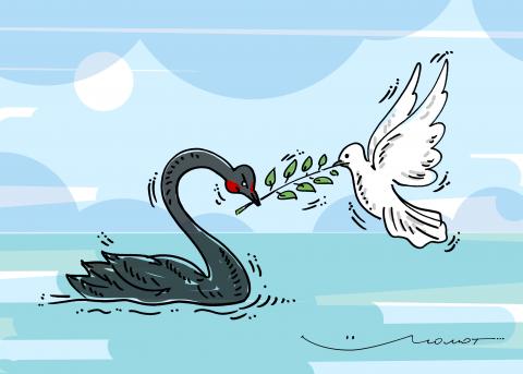 Black Swan